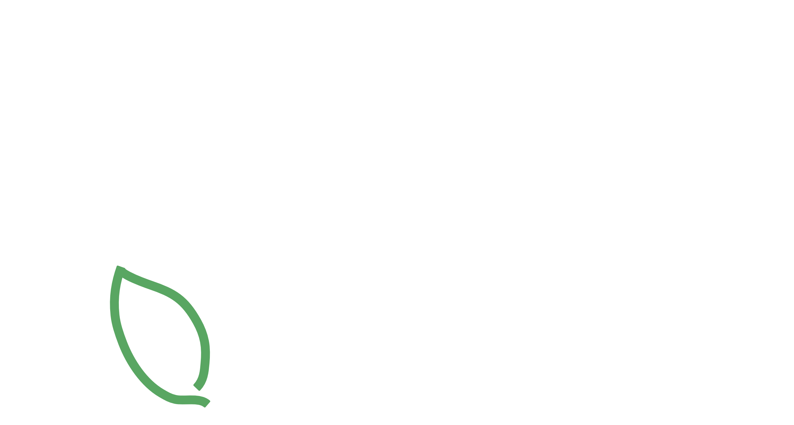 LEVE Outdoor Co.